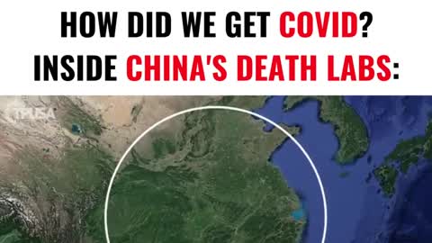 Turning Point USA: CORNAVIRUS ORIGIN STORY: INSIDE CHINA'S DEATH LABS