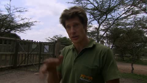 DANGER: Rapid Response Dog Unit In Kenya | This Wild Life | BBC Earth