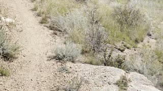 Walking the trail with family