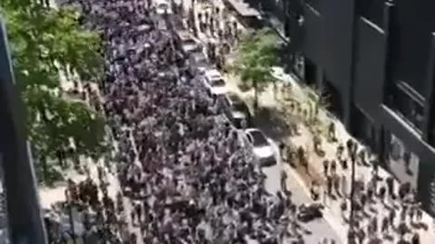 Thousands of people are out on the street in Chicago, United States to support Palestine