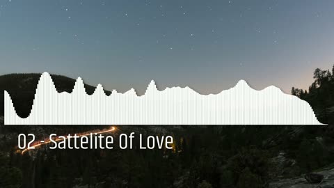 02 - Sattelite Of Love