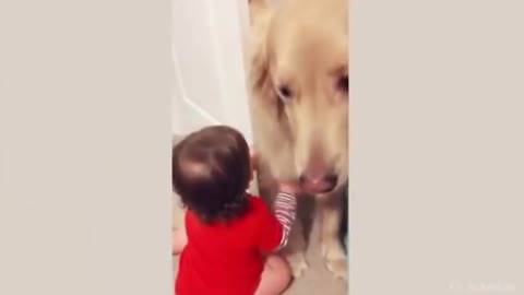 Baby opened the doors and see dog reaction