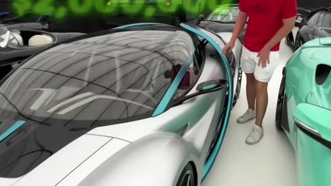 $100,000,000 Car Doors from mrbeast