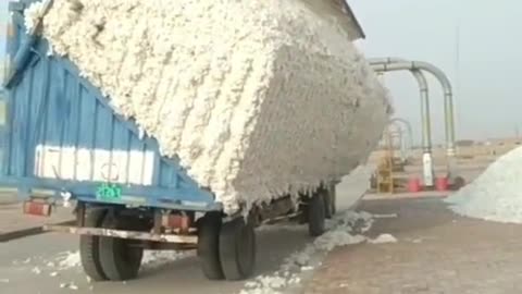 Unloading cotton