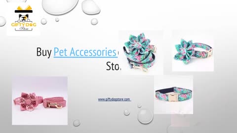 Buy Pet Clothes Online | Puppy Clothes | Gifty Dog Store