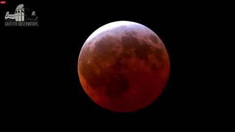 Eclipse Finale: Century's Shortest Lunar Spectacle Lights Up the Night Sky! 🌌🌒🔭 #nasa