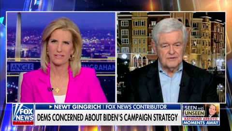 Newt Gingrich Warns Democrats Will Do ‘Whatever It Takes’ To Win In 2024