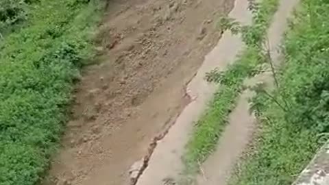 Up Close Landslide #natureshorts #naturevideo