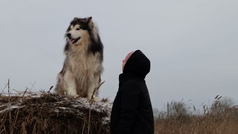 A woman trying to kiss a dog