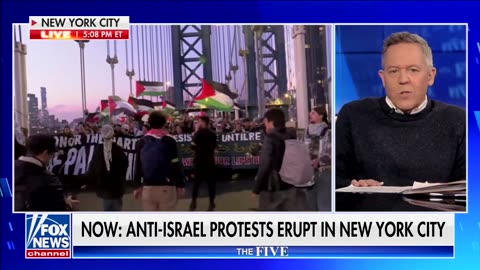 Gutfeld Slams Libs For Giving 'Greenlight' To Woke Tactics Now Targeting Jews