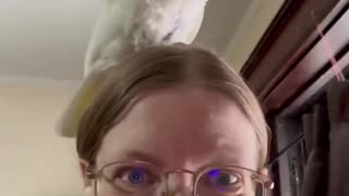 Cardio with a Cockatoo: A Hilarious Twist to My Workout Routine! 🐦🏋️‍♂️