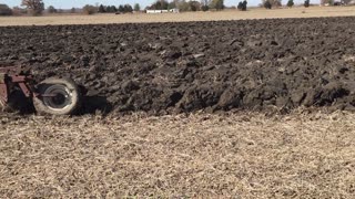 plow day 2020 pt 3