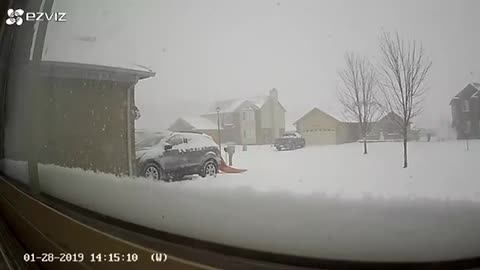 T-Rex Shovels Snow