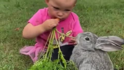 Toddler Feeding Rabbit and Sharing Food With the Rabbit
