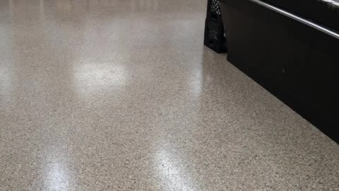 Durable & seamless floor coatings to protect your concrete surfaces