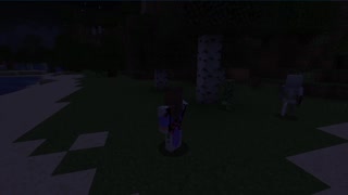 Minecraft1.17.1_Modded 1st outting_5
