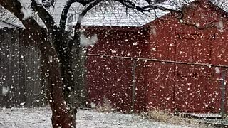 BIG SNOWFLAKES