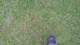 Walking on a giant Lawn/Turf Bubble