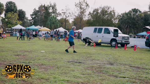 Dog Masters Frisbee Skills - Jaw-Dropping Tricks and Catch