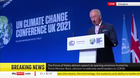 Prince Charles: We Need a "Vast Military-Style Campaign" to Combat Climate Change