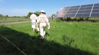 Pulling Honey Out of the Hives