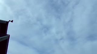 Spraying chemtrails with vinegar 10/26/23: