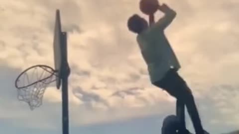 Basketball dunk with elephants compilation video