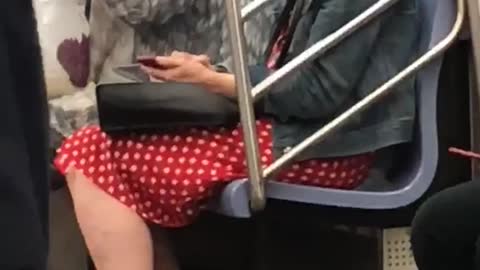 Woman inside a grey squirrel costume on train