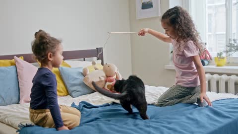 Little Cute Girls Play With Black Cat