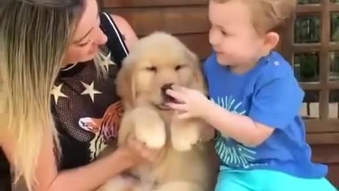 perrito y cachorro adorable imperdible!!