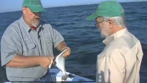 Bucktailing New Jersey Fluke