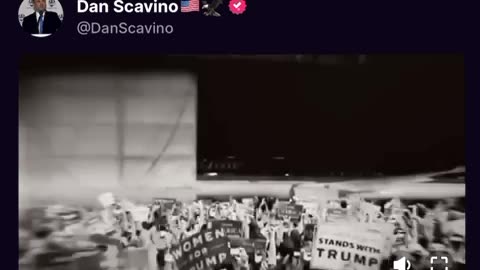 Dan Scavino