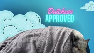 Dutchess and Noble approved!