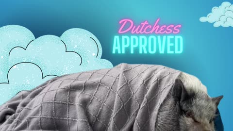 Dutchess and Noble approved!