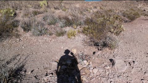 Big Bend Morning Drive and Hike - SSA - Day 3 - Part 1