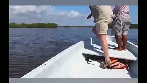 Funny Fishing Compilation 1