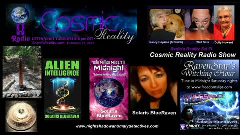 "COSMIC REALITY" 2/23/21 - Solaris BlueRaven Electronic Intrusions to ET Intelligence