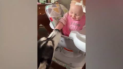 Doggie and baby are best friends!!!!!