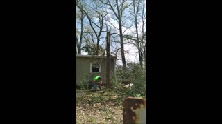 Redneck Tree Operation