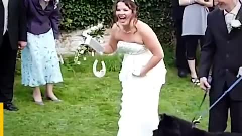 Funny Weeding Moments Compilation 😄