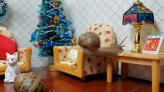 Snails Celebrate Christmas | Snail Vids Kids Love