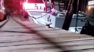 How to Back Up a Boat By Yourself