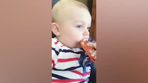 Totally cute baby videos compilation