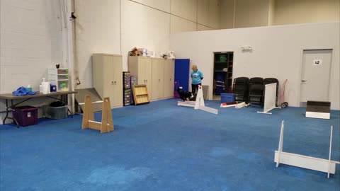 Elsa Flyball