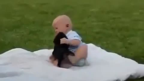 Baby and dong fight