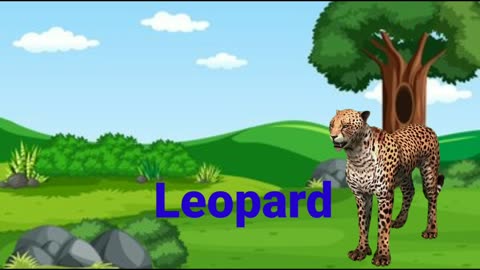 Cartoon Animal's Video | Wild Animal Name | Education Cartoon videos | Animals Name Video |