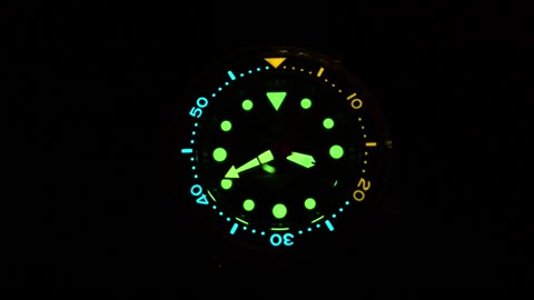STEELDIVE WATCHES SD1975 UNDER THE MICROSCOPE