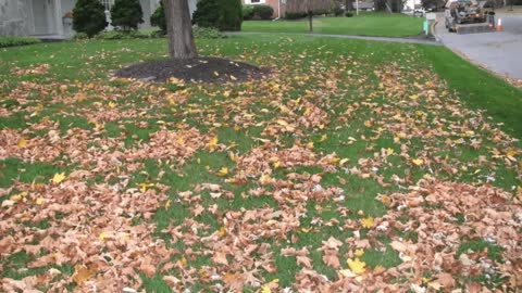 Lawn Mowing Service Hagerstown Maryland Leaf Cleanup