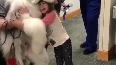 cute little girl is hugs the dog and having fun.