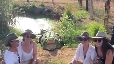 Australian women are more frightened when taking photo with crocodile.